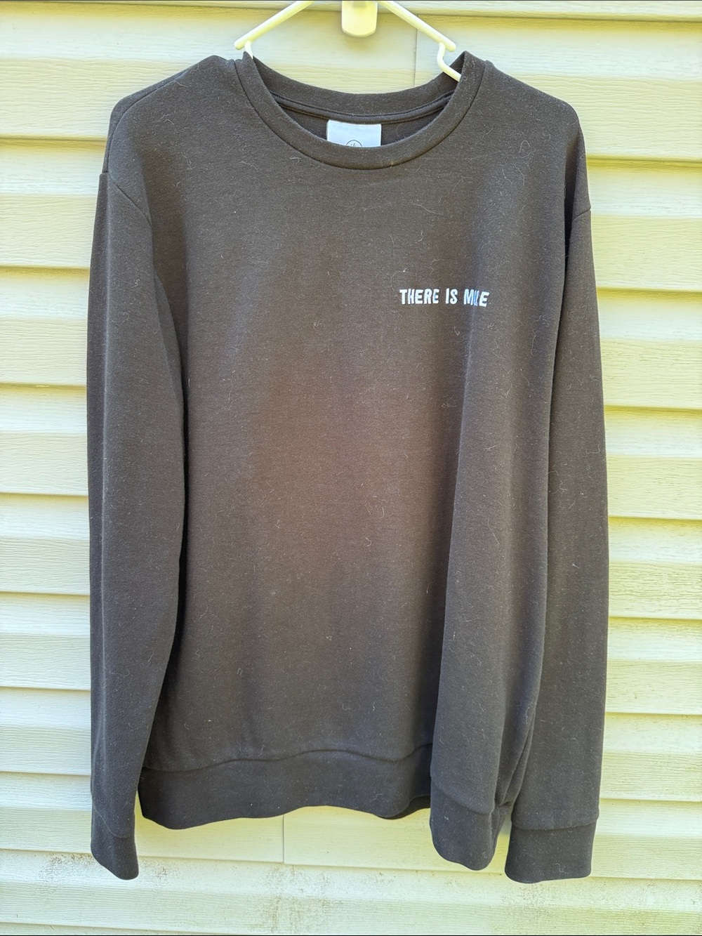 Hillsong | There is More Embroidered Lion Sweater size Large